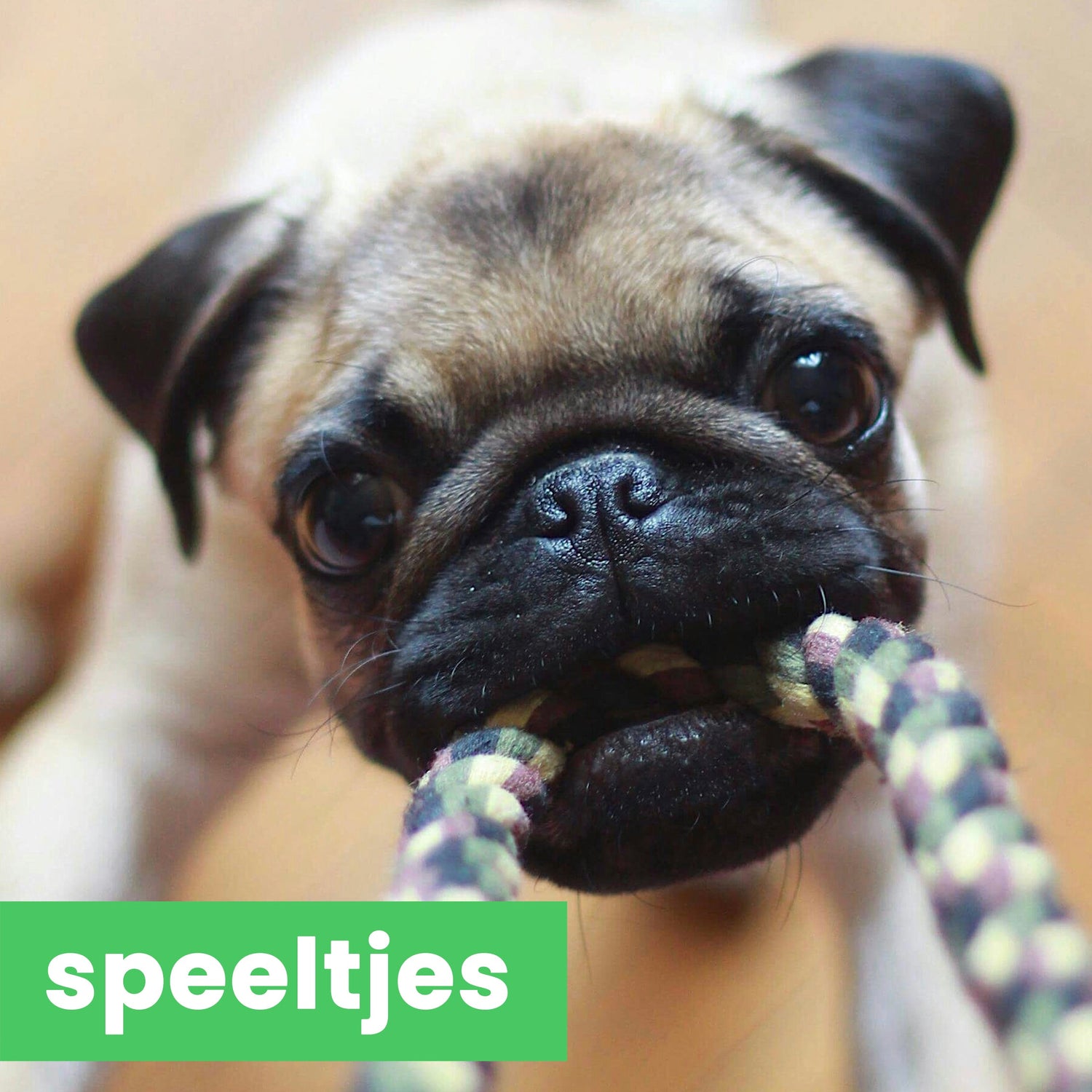 Speelgoed