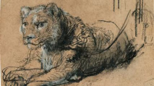 Rustende jonge leeuw: waar kunst en dierkunde elkaar ontmoeten