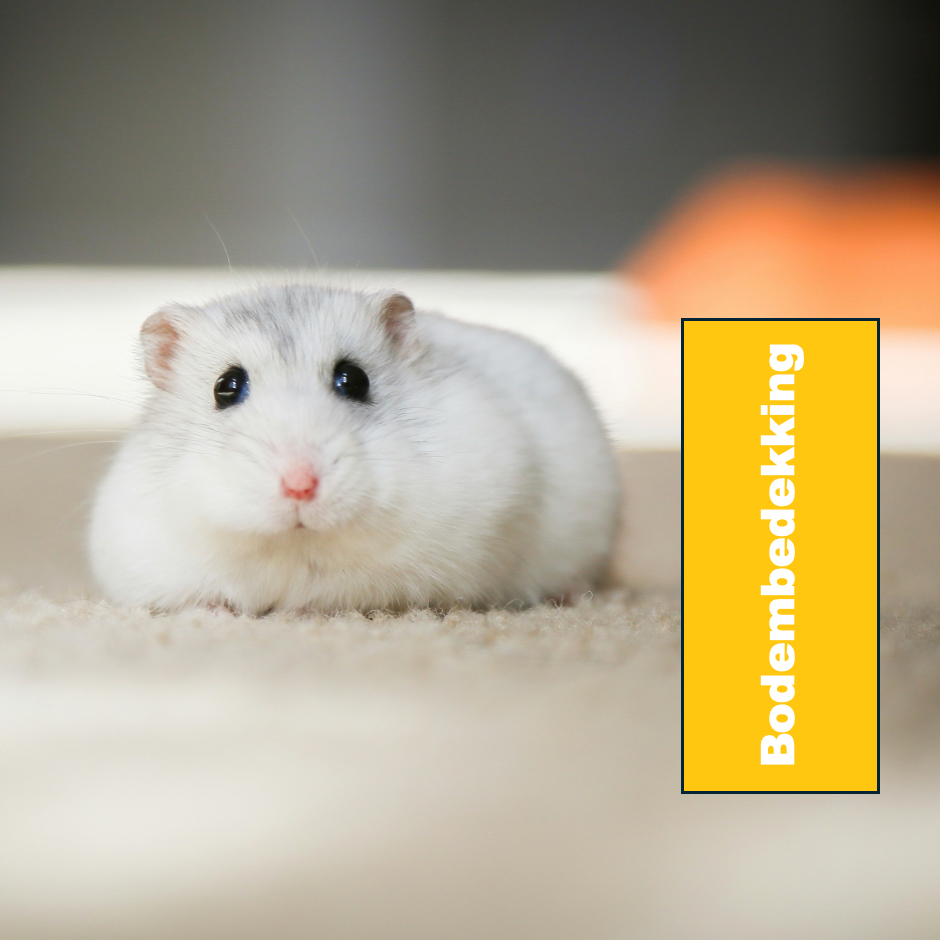 Bodembedekking