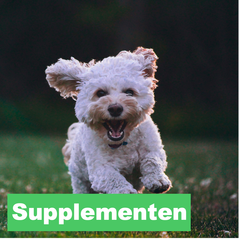 Supplementen