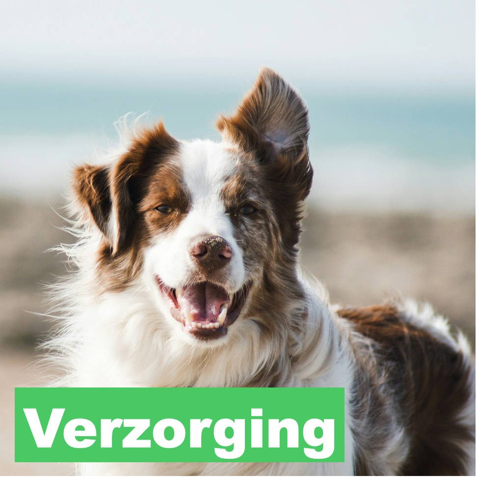 Verzorging