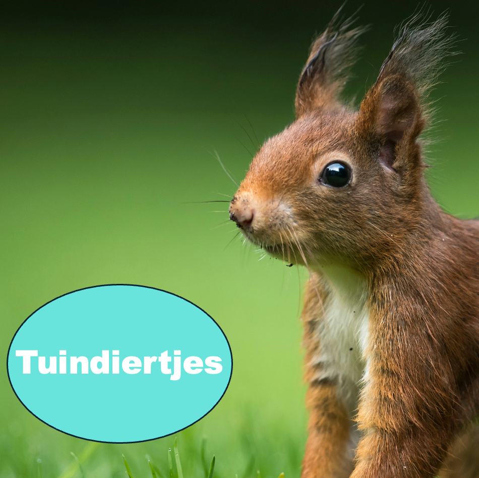 Tuindiertjes