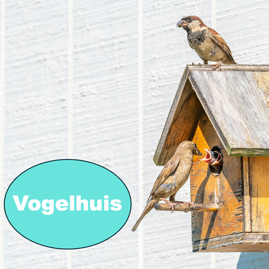 Vogelhuis