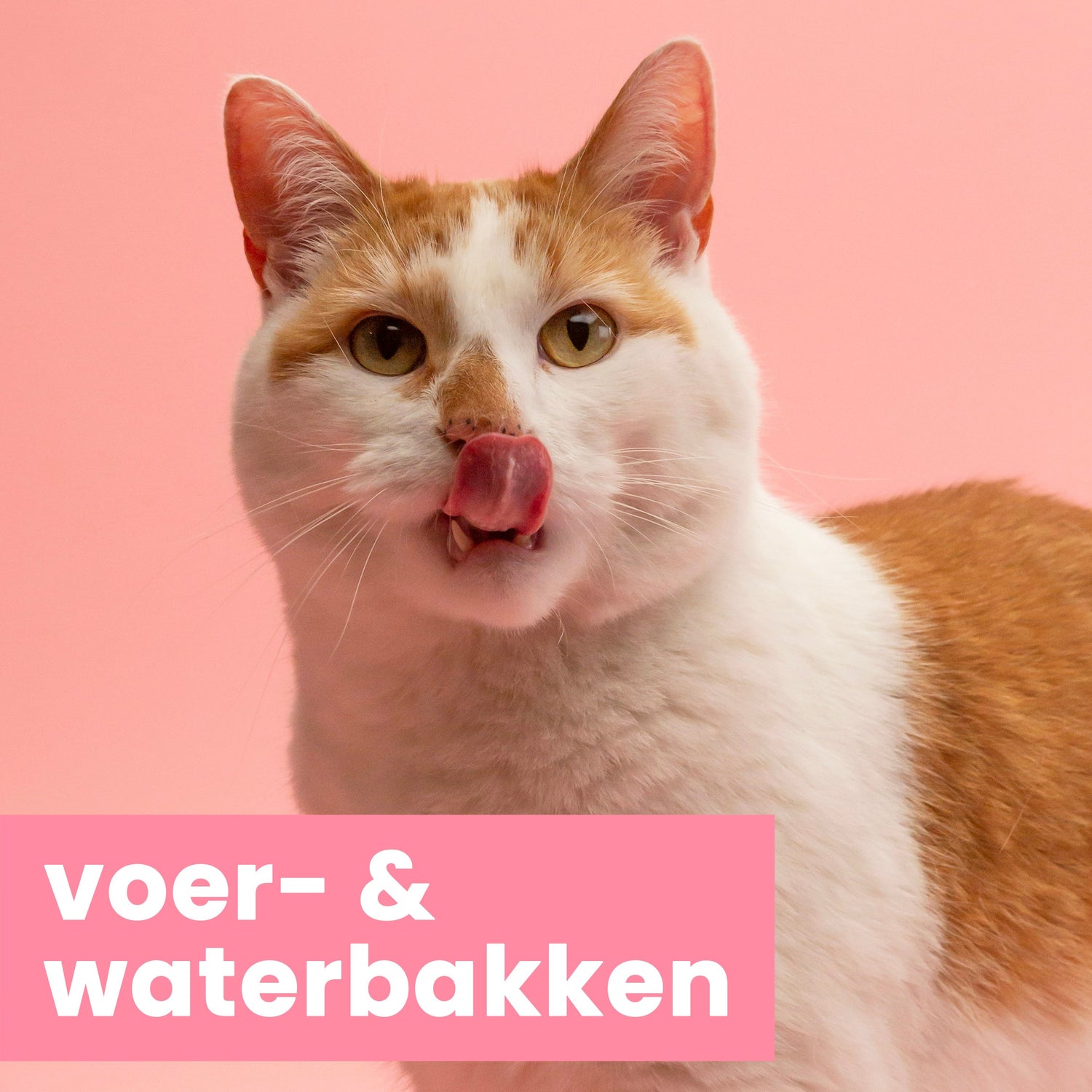 voer- & waterbakken