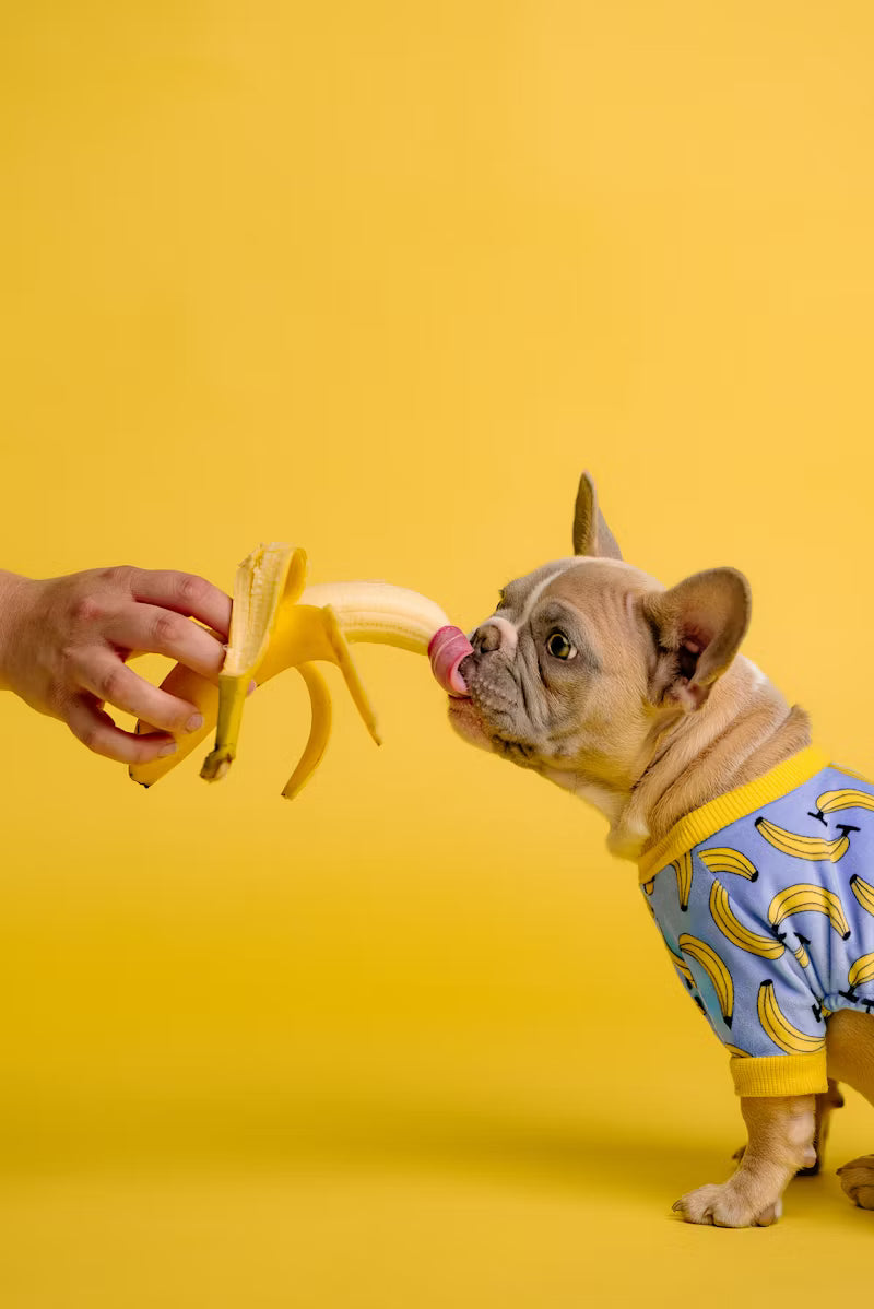 Snacks