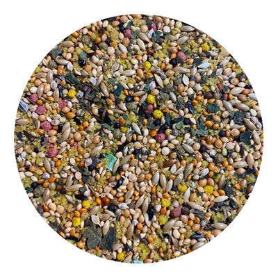 Utopia Tropische Vogels Top Quality