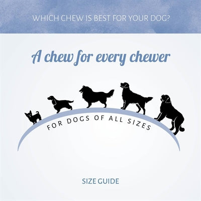 Antos Jerkey Strips Lam